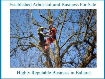 Established Arboricultural Business For Sale image