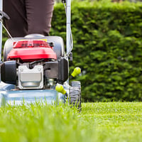 A++ LAWN AND GARDEN MAINTENANCE - NET 900K PA! image