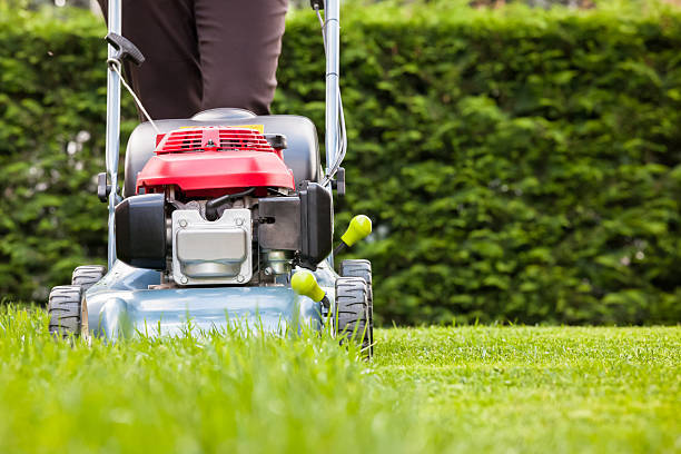 A++ LAWN AND GARDEN MAINTENANCE - NET 900K PA!