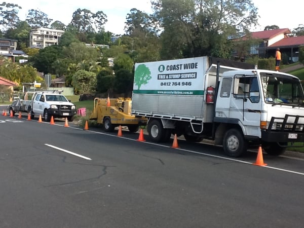 Established Full-Service Tree Care Business