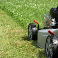 Property Cleaning and garden maintenance business image