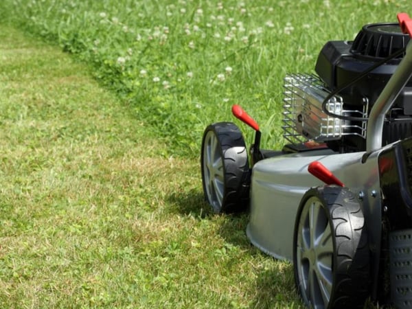 Property Cleaning and garden maintenance business
