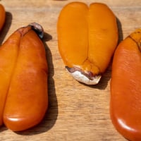 Karasumi - Production/Wholesale/Export image