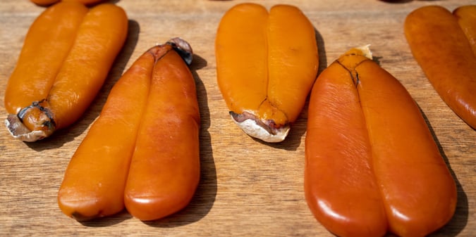 Karasumi - Production/Wholesale/Export