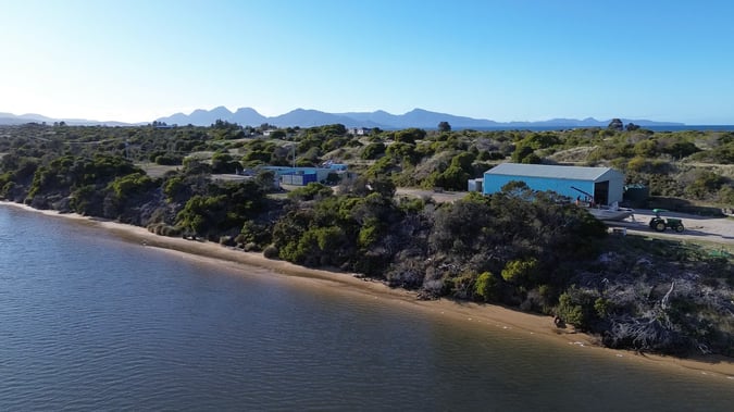 Ultimate Paddock to Plate Business