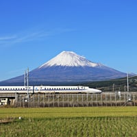 Japan Specialist Travel Agency image