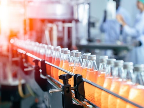 E-Commerce Beverage Production Business in the Idyllic Tea Gardens/Hawks Nest Region