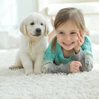 Established Flooring and Window Furnishings Business-Mackay image