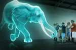 New High-Tech Hologram Zoo Mobile Entertainment - Hobart, TAS
