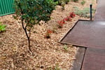 Professional Cleaning and Landscape Maintenance Business in Western Sydney