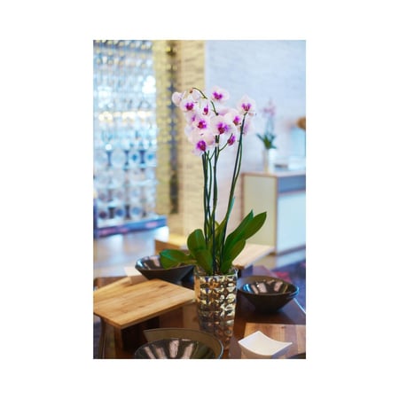 Thriving Florist Franchise Business