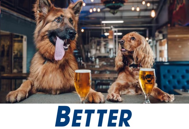 Well‑Established Online Dog Accessories Brand - Strong Sales & Huge Following