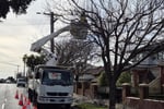 Vegetation Maintenance Municipal Contractor - EBS
