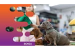 36834 - Dog Grooming, Daycare and Retail Space