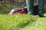 Long-Established Lawn/Garden Business: HIGH INCOME! WORK FROM ANYWHERE!