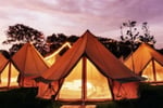 Luxury camping hire business creates unique glamping experience and getaways on the Central Coast NS
