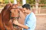 Established Equine Genetics Import Business - VIC