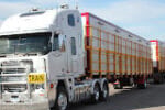 Renown WA Transport Company Serving the North West and State Locations