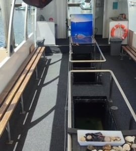 Eco Tour Business - Hervey Bay image