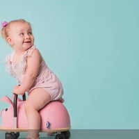 Wheely Bug Toys - Iconic Australian Toys - Online Business! image