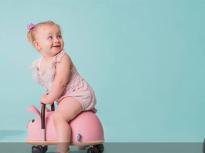 Wheely Bug Toys - Iconic Australian Toys - Online Business! image