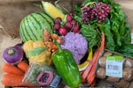 Highly Profitable Large Format Health Food Store - Forster, Mid North Coast NSW