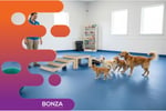 37114 Profitable Dog Daycare Business, Flexible Hours