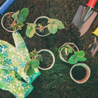Garden Supply Business - Mansfield Victoria image