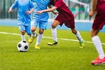 Niche Market Sports Product, Apparel and Equipment Outlet and National Online Webstore #411