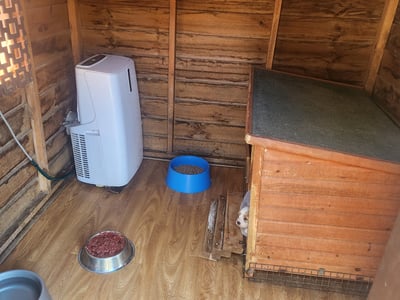 Ethical Dog Breeding and Kennelling Business with Full Setup and a Strong Reputation image