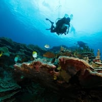 Professional Scuba Retailer image