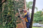 Long-Established Cleaning Business - Sylvania, NSW