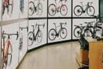 A Golden Opportunity exists to acquire a Wildly Successful Bicycle Retail Business due to owners retirementplans.Constantly Increasing Turnover of $1.