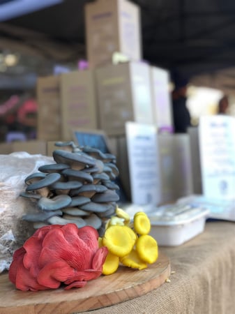 Indoor Mushroom Farm - Booming Industry