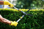 Long-Established Lawn/Garden Business: HIGH INCOME! WORK FROM ANYWHERE!