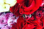Oakleighs Iconic Florist Nursery Business for Sale SV1585