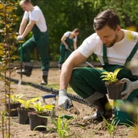 Premium Landscaping and Maintenance Business, Strong Growth! image