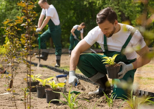 Premium Landscaping and Maintenance Business, Strong Growth!