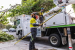 Vegetation Maintenance Municipal Contractor - EBS