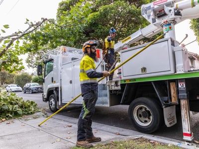 Vegetation Maintenance Municipal Contractor - EBS image