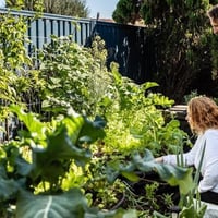 Leading Organic Gardening Business in Perth/Neerabup, WA image