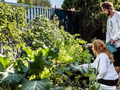 Leading Organic Gardening Business in Perth/Neerabup, WA image