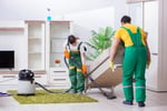 HOME CLEANING FRANCHISES - CANNING VALE AND HILLS