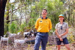 Profitable Eco Vegetation Management Business, Northern NSW