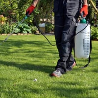 WELL-ESTABLISHED PERTH PEST CONTROL BUSINESS image