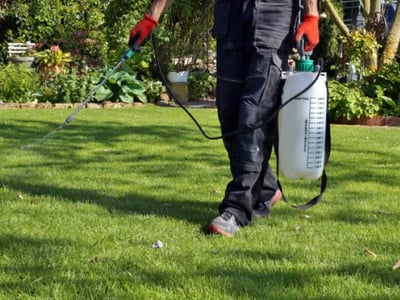 WELL-ESTABLISHED PERTH PEST CONTROL BUSINESS image