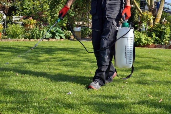 WELL-ESTABLISHED PERTH PEST CONTROL BUSINESS