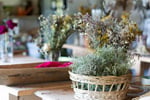 Iconic Home Decor & Gift Business, Online Growth Potential - EBS