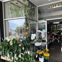 Prominent Florist and Gift Shop - Caringbah, NSW image