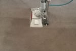 Profitable Owner-Operator Carpet Cleaning Business Growth Potential